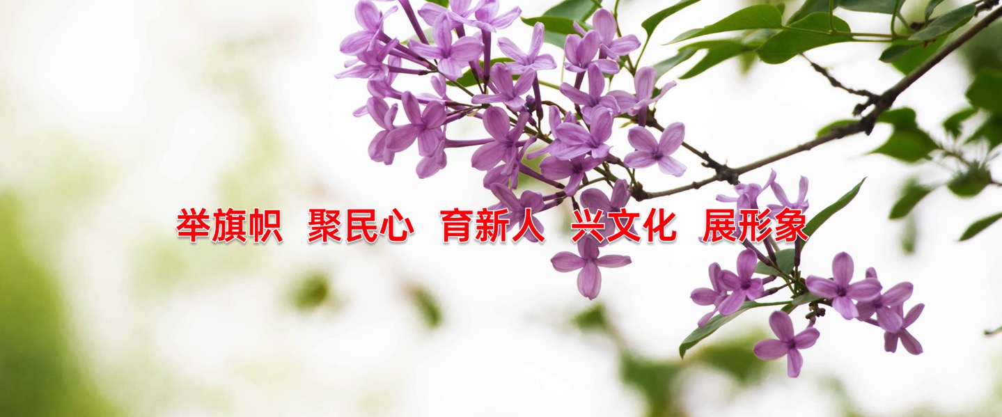 举旗帜 聚民心 育新人 兴文化 展形象