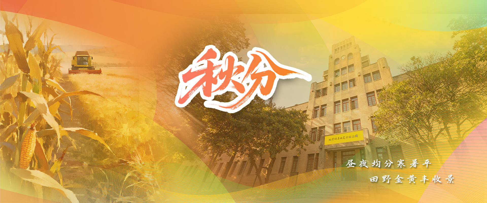 秋分