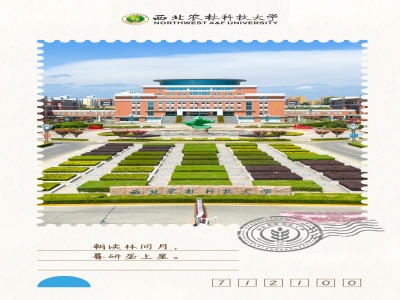 明信片