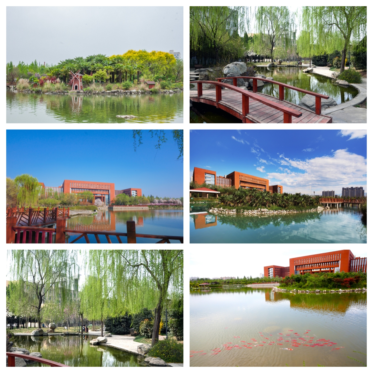 湖2.jpg