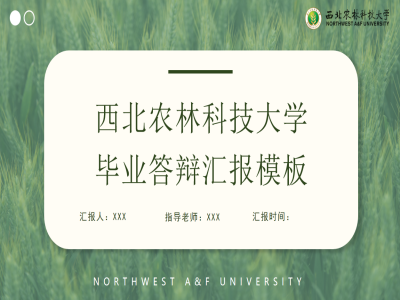 毕业答辩