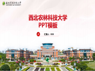 工作汇报