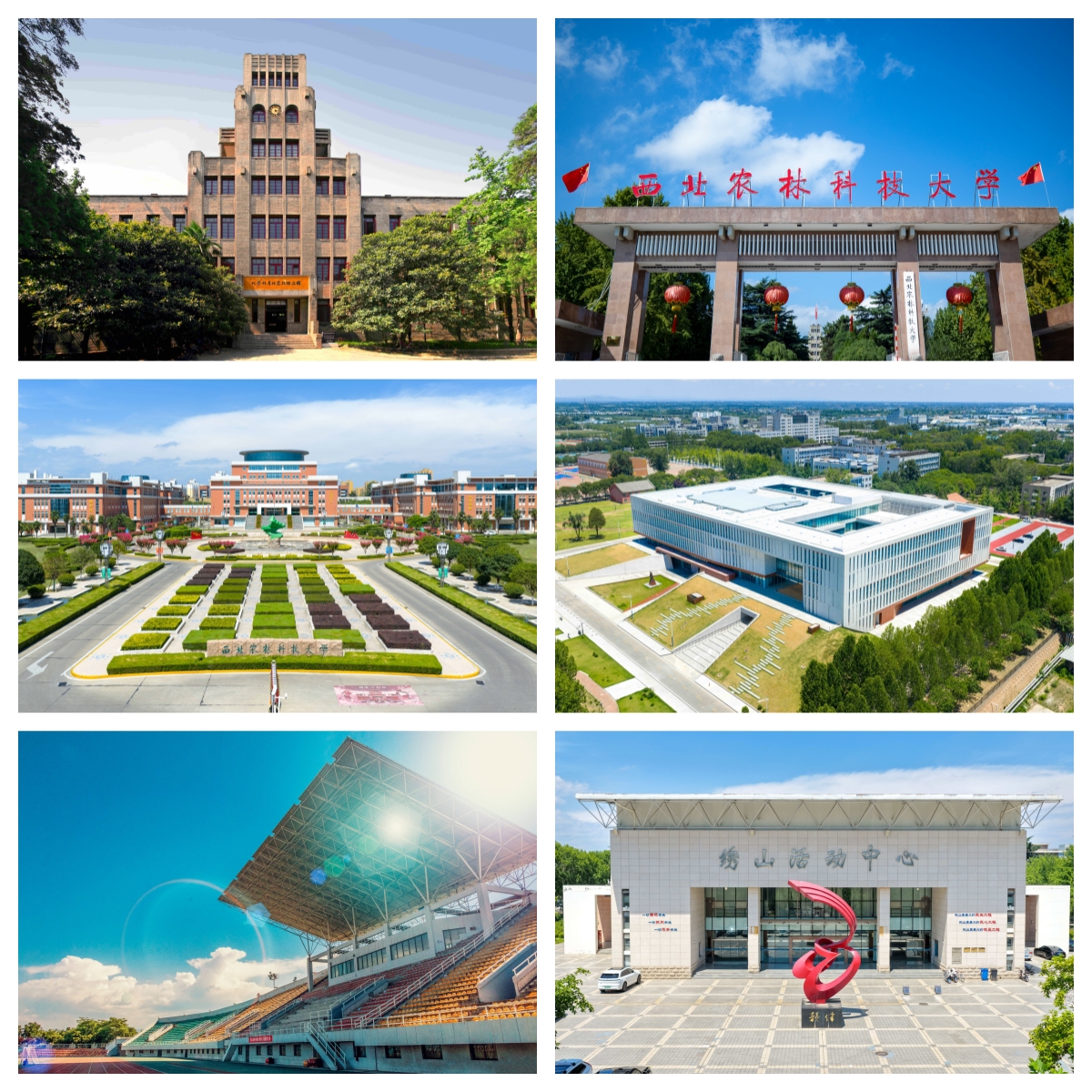标志建筑网页.jpg