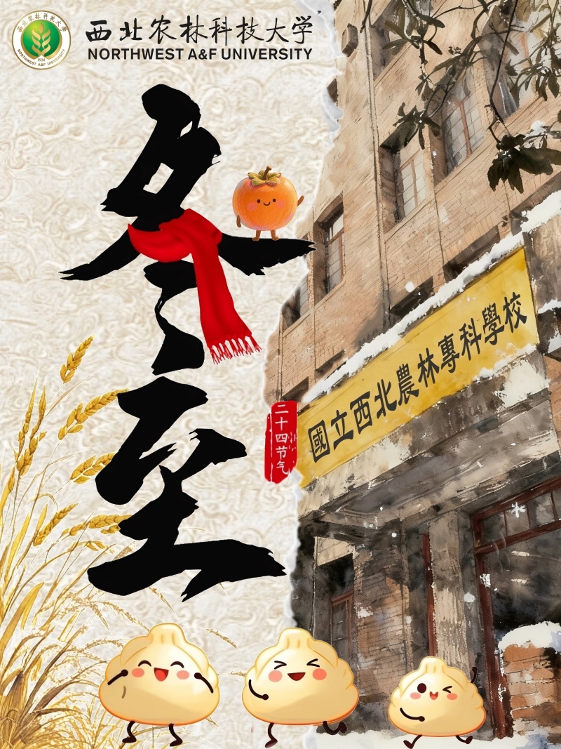 改尺寸后.jpg