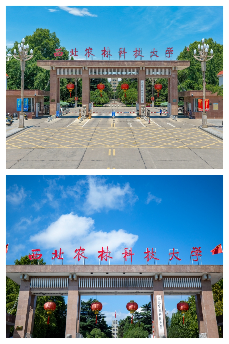 未命名.jpg