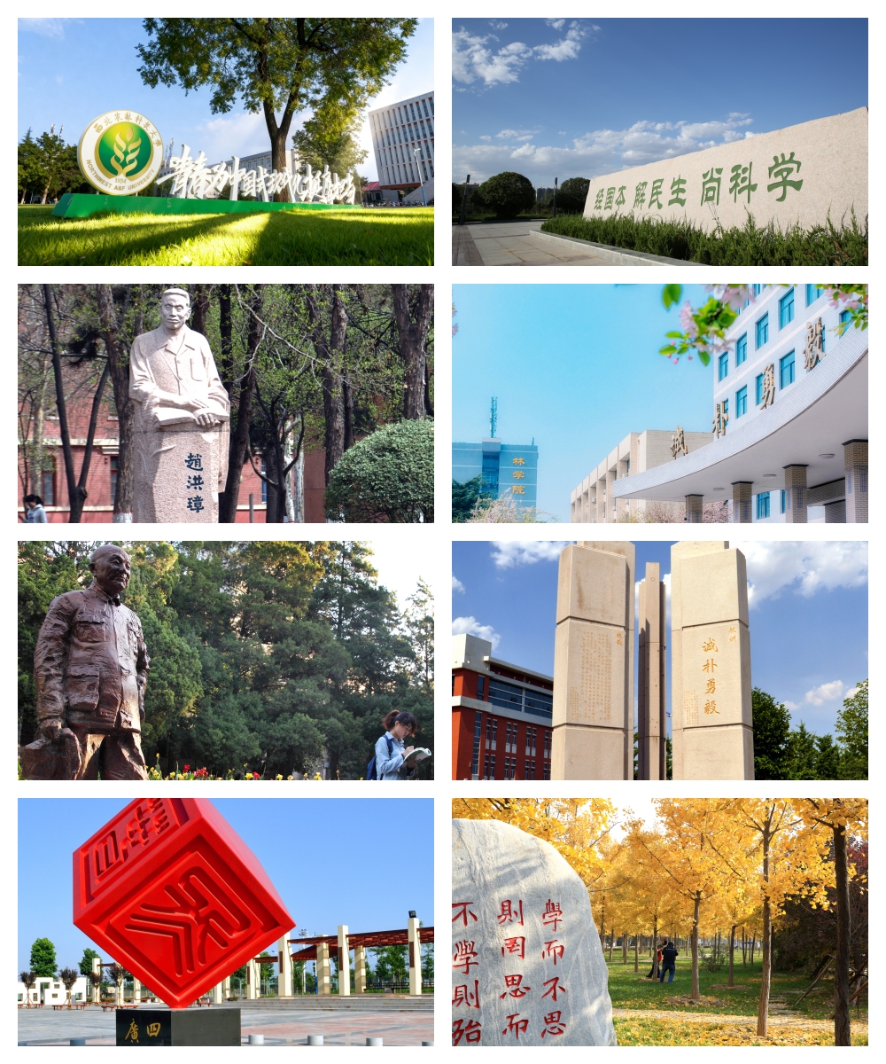 训.jpg