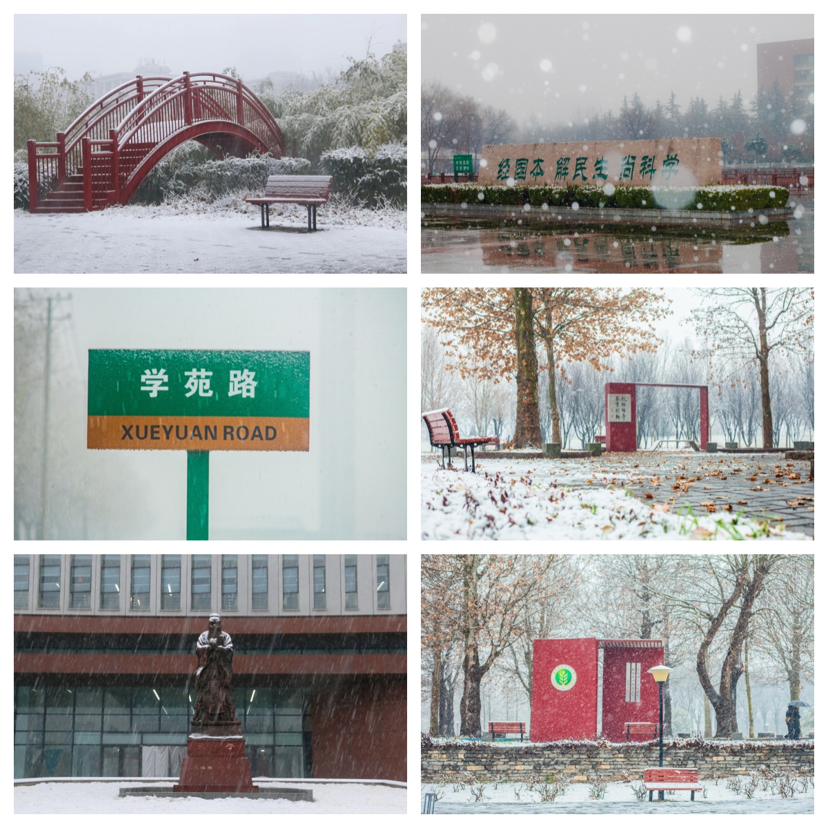 雪1.jpg