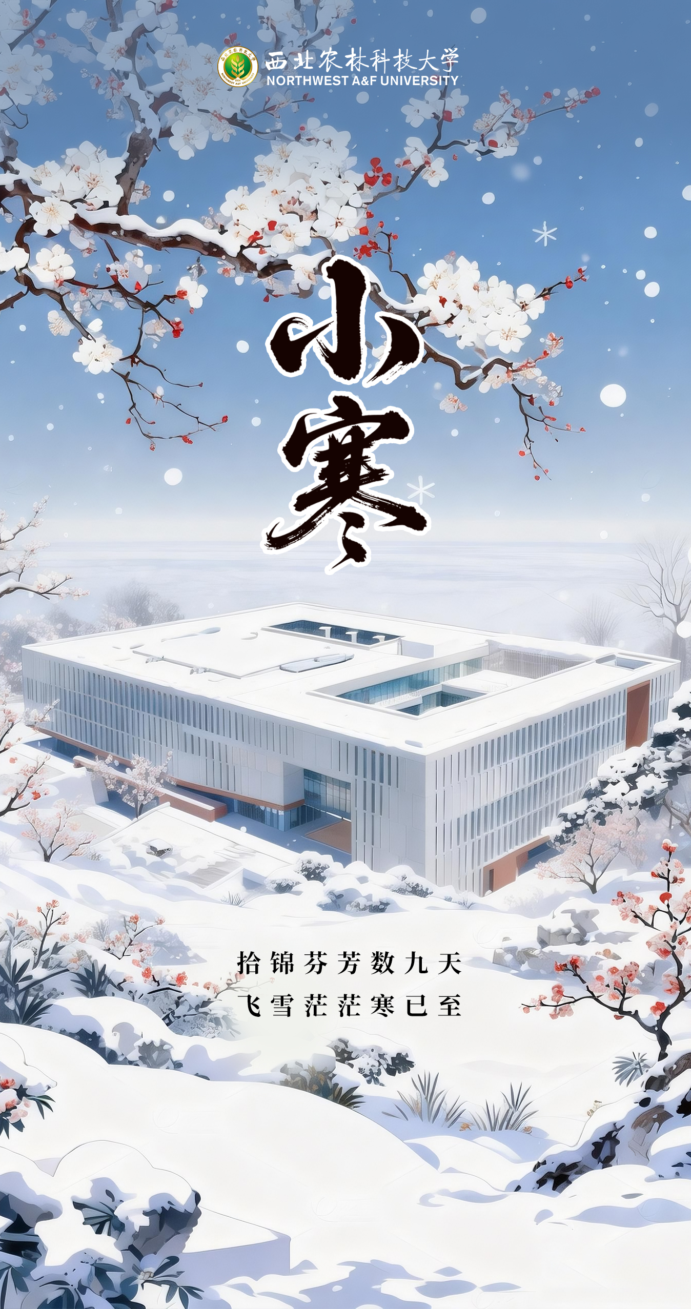 小寒（立）.jpg