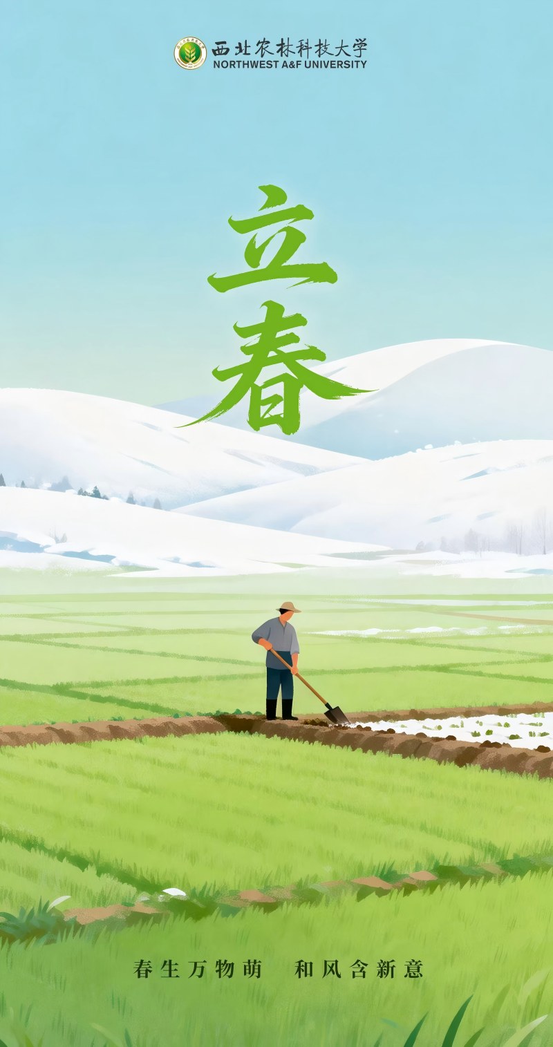 立春(1).jpg