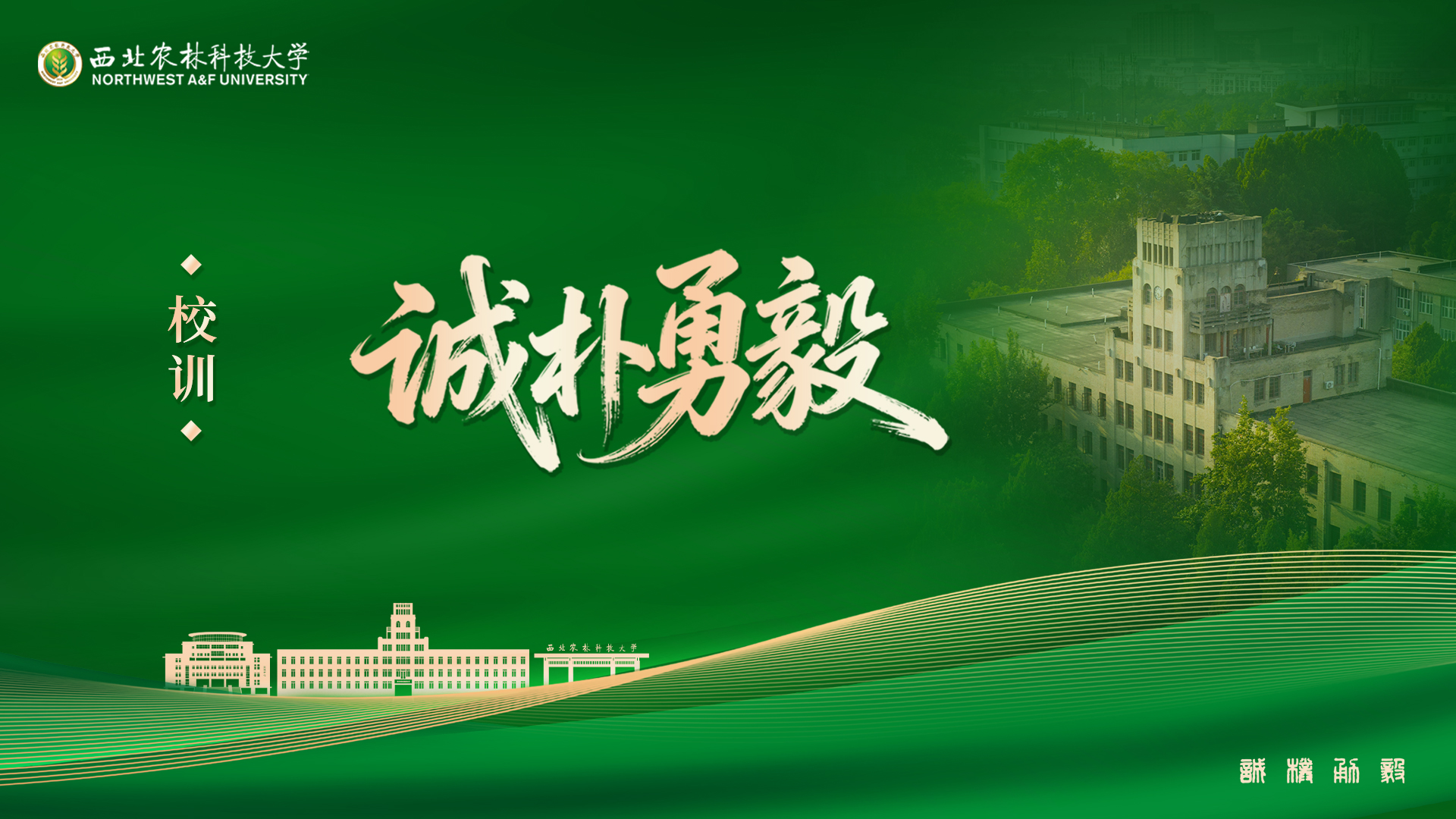 校训