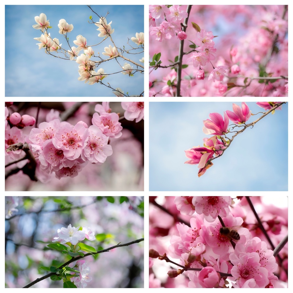 花2(1).jpg