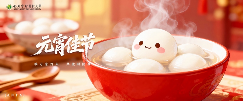 元宵(1).jpg