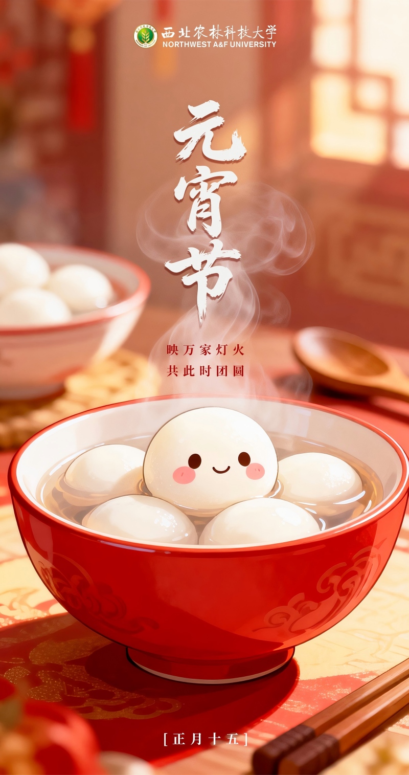 元宵节(1).jpg