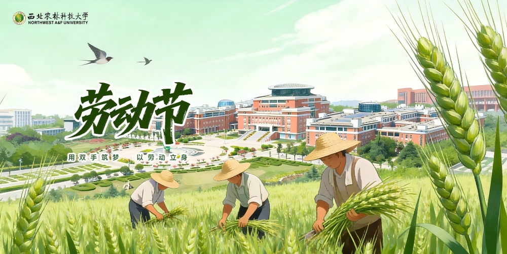 劳动节
